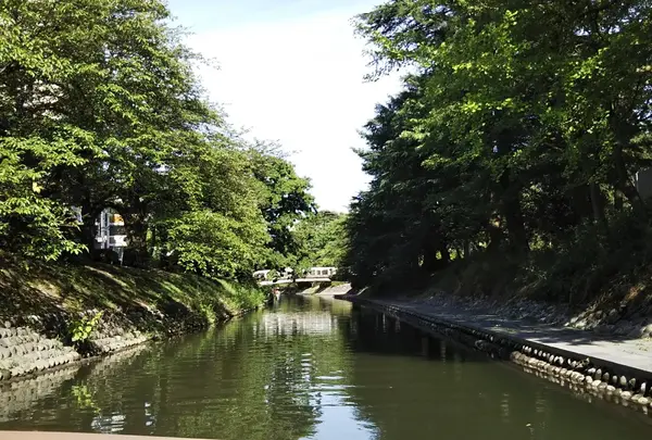 松川遊覧船（富山観光遊覧船）の写真・動画_image_216384