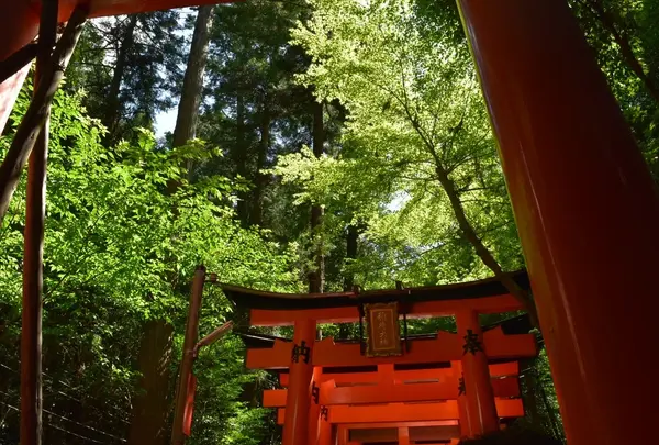 千本鳥居