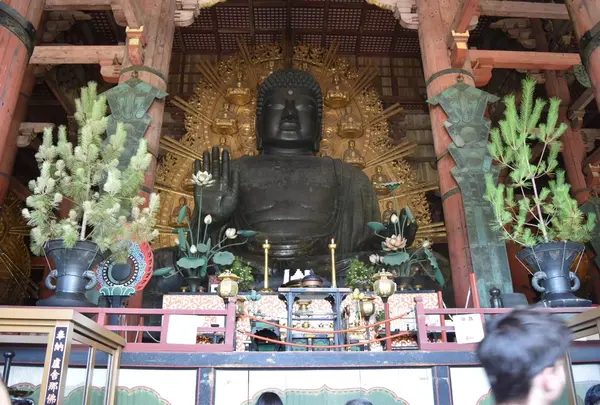 東大寺の写真・動画_image_216970