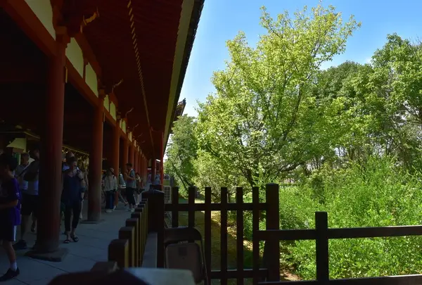 東大寺の写真・動画_image_216973