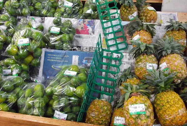 「道の駅」許田・やんばる物産センター（やんばる物産株式会社）の写真・動画_image_2179