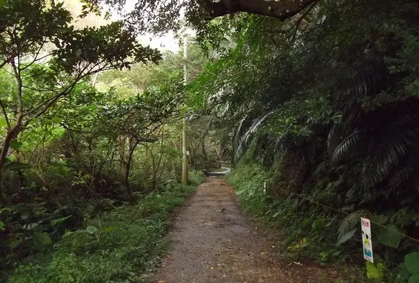 ハブ出没注意