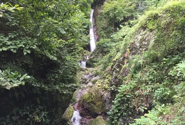 秩父華厳の滝の写真・動画_image_225203