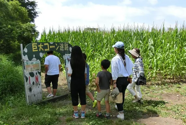 巨大コーン迷路