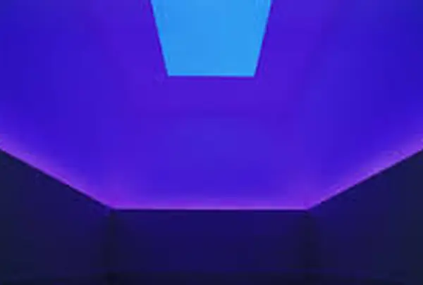 ナイトプログラム