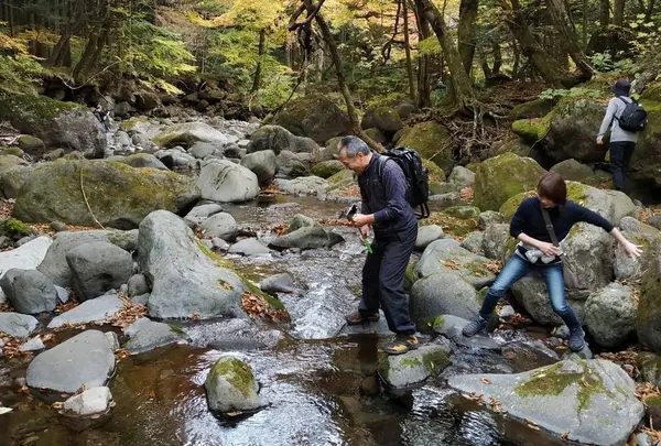 自然てイイね👍