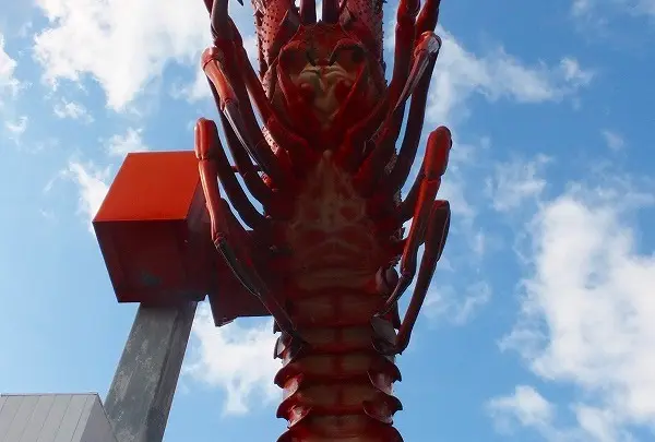 腹側