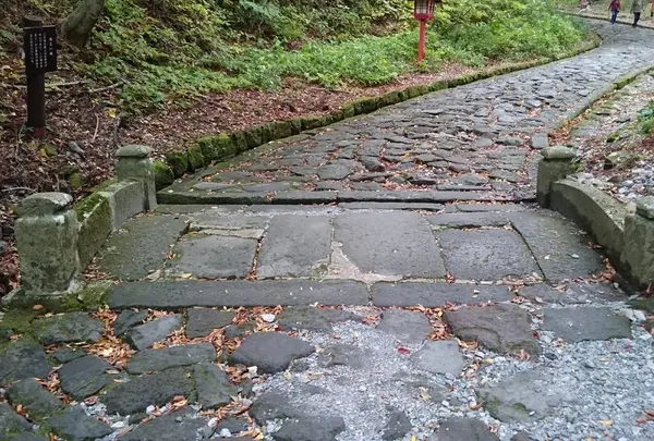 石畳の参道の写真・動画_image_238806