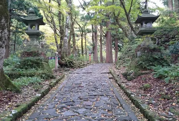 石畳の参道の写真・動画_image_238807