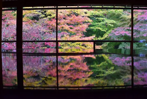 人気のスポット