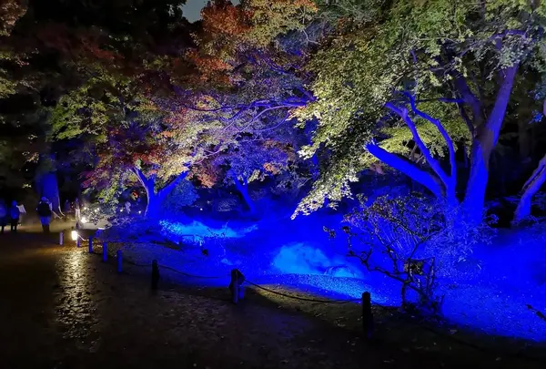 六義園の写真・動画_image_242753