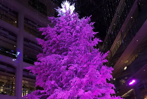 ツリー✨🎄✨
