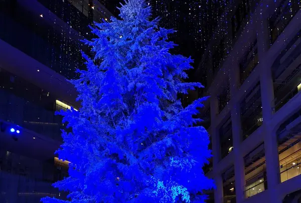 ツリー✨🎄✨