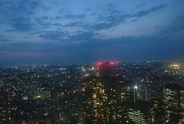 都庁からの眺め