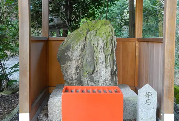 大縣神社の写真・動画_image_24726