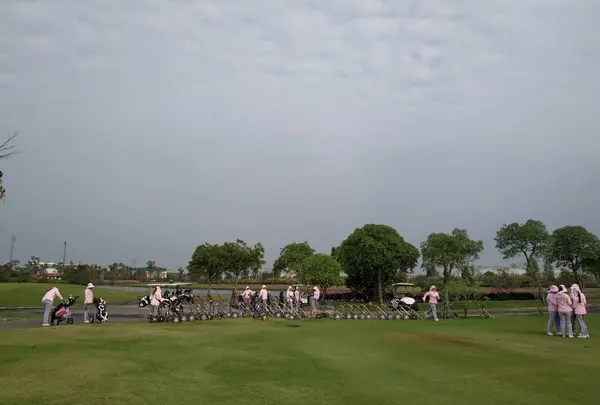 フラミンゴみたい。