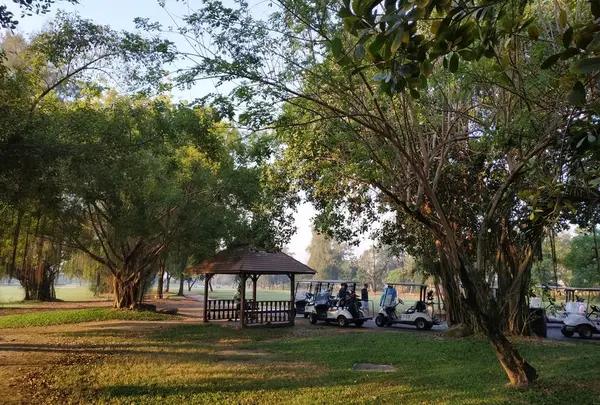 ジャングルみたいな景観