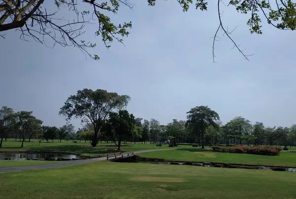 南国の花もキレイ