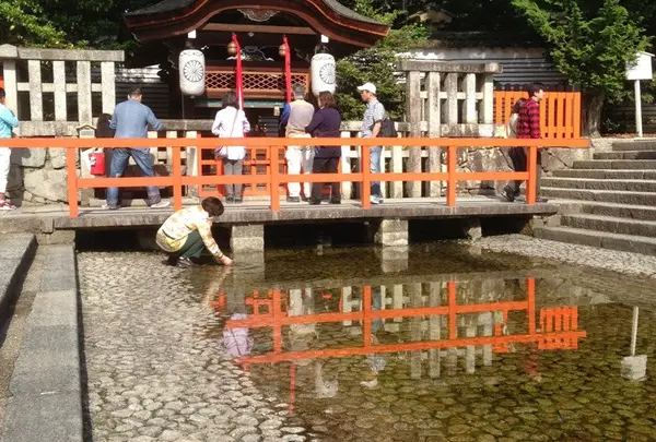 下鴨神社（賀茂御祖神社）の写真・動画_image_2572