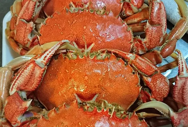 カクヤ商店の写真・動画_image_264694