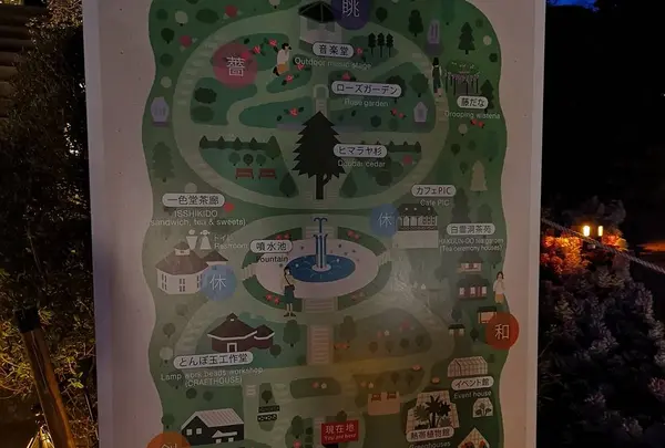 マップ