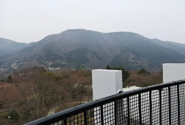 階段を上りきると展望台