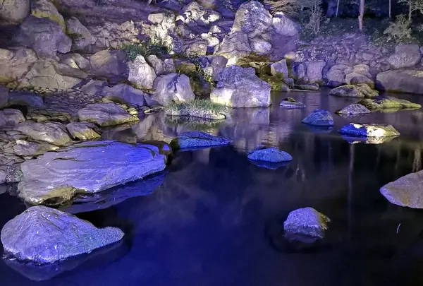 六義園の写真・動画_image_266462
