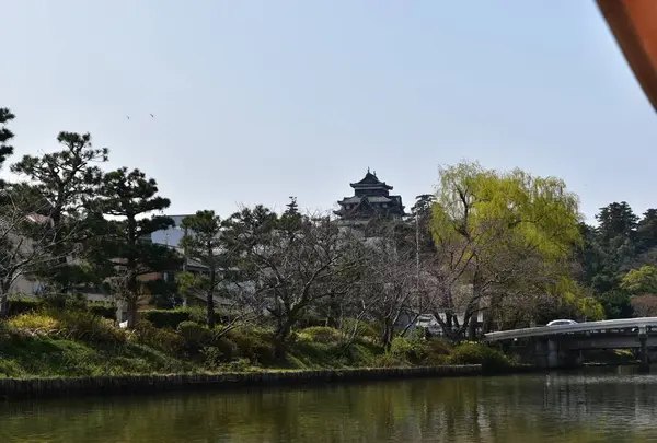 ぐるっと松江堀川めぐりの写真・動画_image_266572
