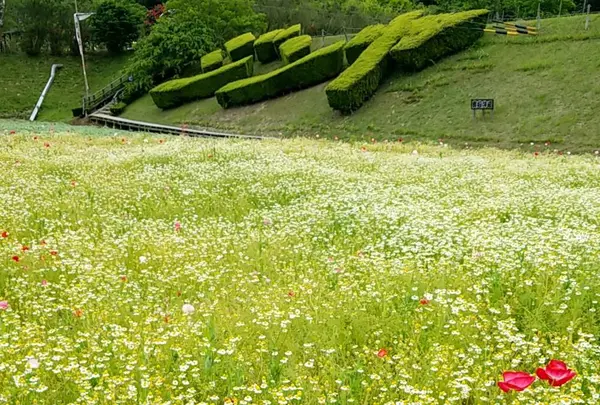 奥殿陣屋の写真・動画_image_279398