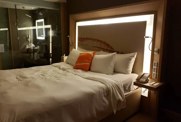 Novotel Danang Premier Han Riverの写真・動画_image_279538