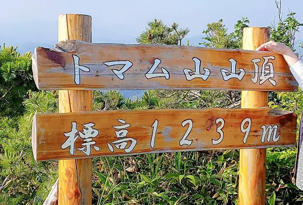 トマム山登山