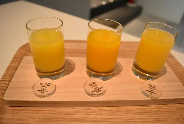 飲み比べ