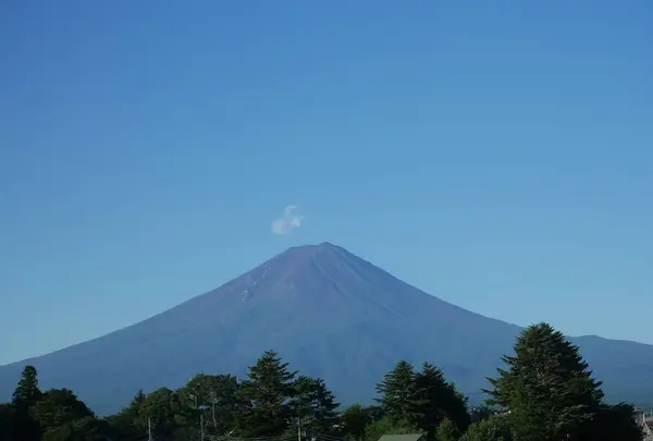 湯けむり富士の宿 大池ホテルの写真・動画_image_301576