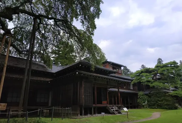 樹齢400年の桜