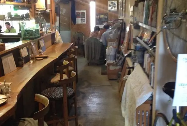 わらしべの写真・動画_image_30509