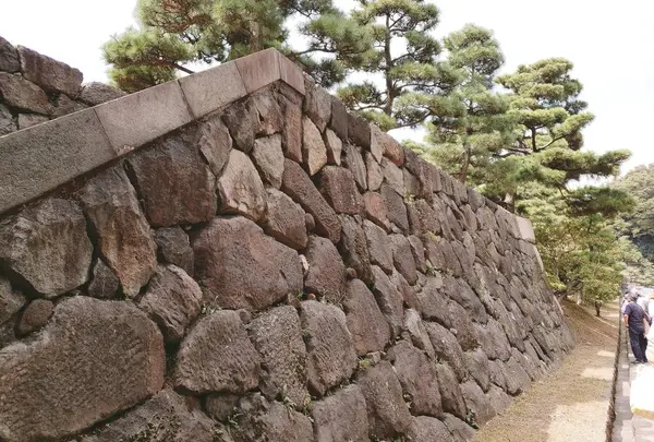 薩摩島津幡の家紋