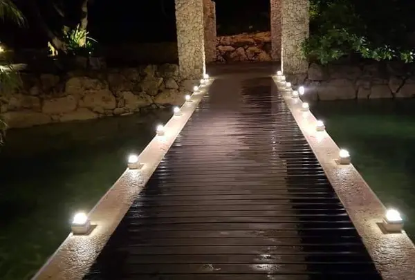 夜の道