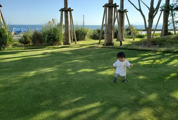 大磯プリンスホテルの写真・動画_image_316026