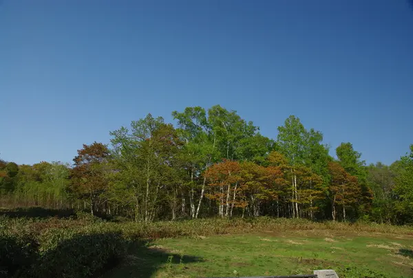 羊蹄山の写真・動画_image_31851