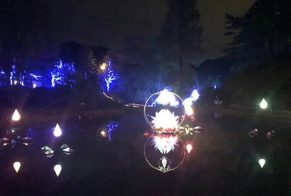 GRAX PREMIUM CAMP RESORT 京都るり渓の写真・動画_image_326068