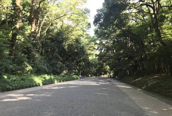 明治神宮の写真・動画_image_330448