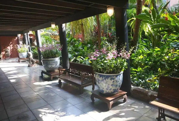 熱帯の植物園みたい