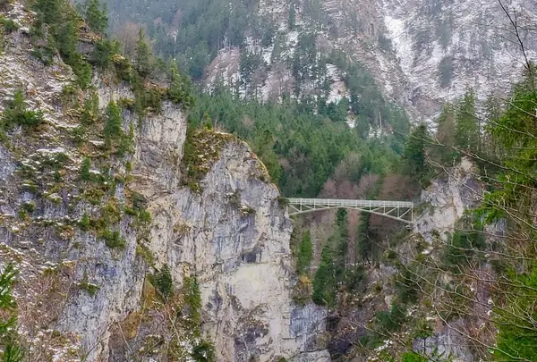 Schloss Neuschwanstein（ノイシュヴァンシュタイン城）の写真・動画_image_339454