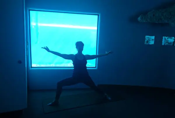 The Mirage（ミラージュ）の写真・動画_image_341764