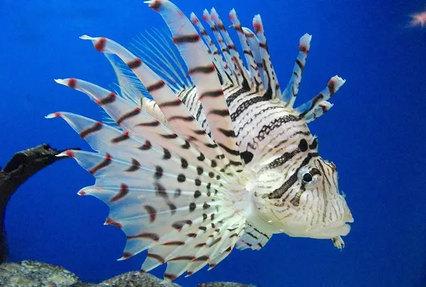水族館本館