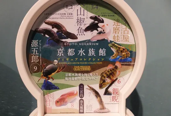 京都水族館の写真・動画_image_3445