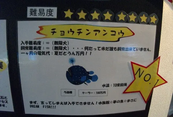 ポップ