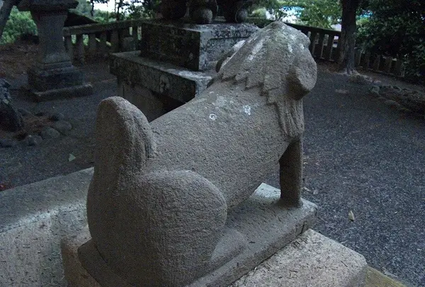 尻尾