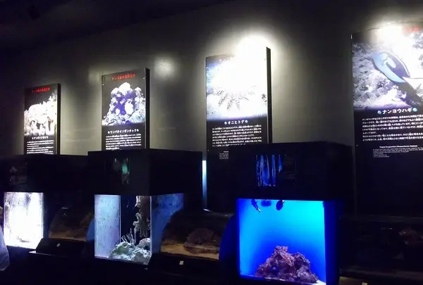 危険生物