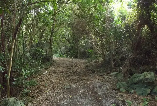 大城御嶽